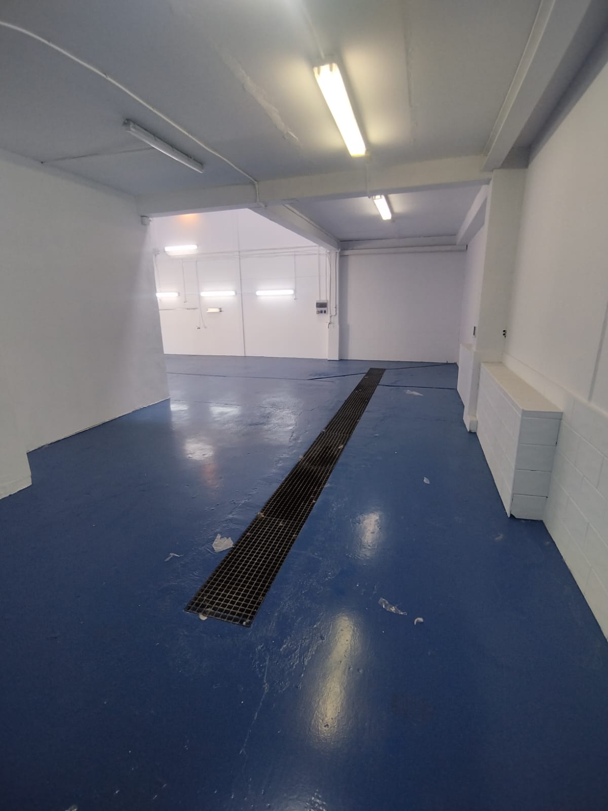 49789_WhatsApp Image 2025-10-08 at 10.47.12.jpeg